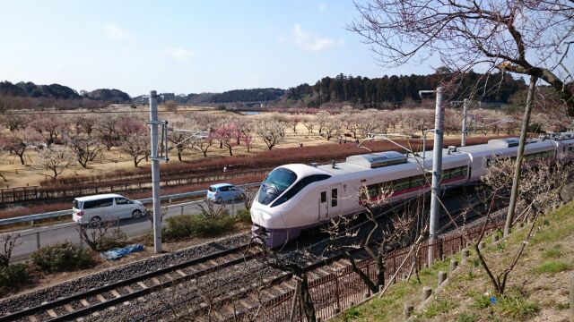 希望者挙手さんの作品