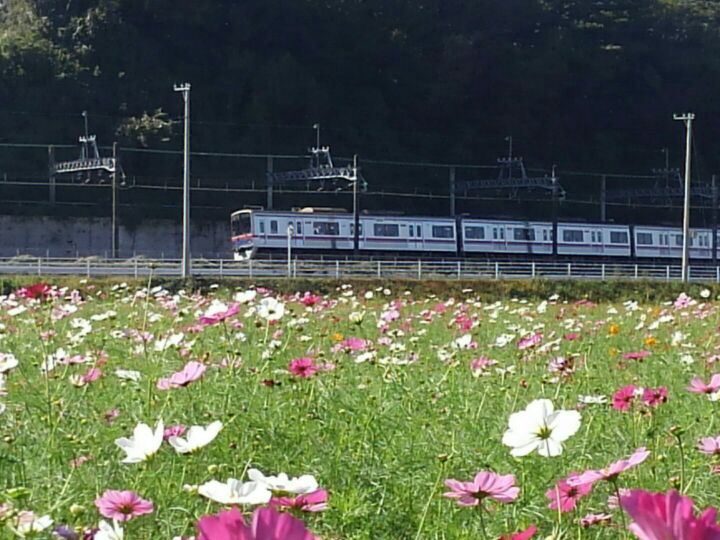 希望者挙手さんの作品