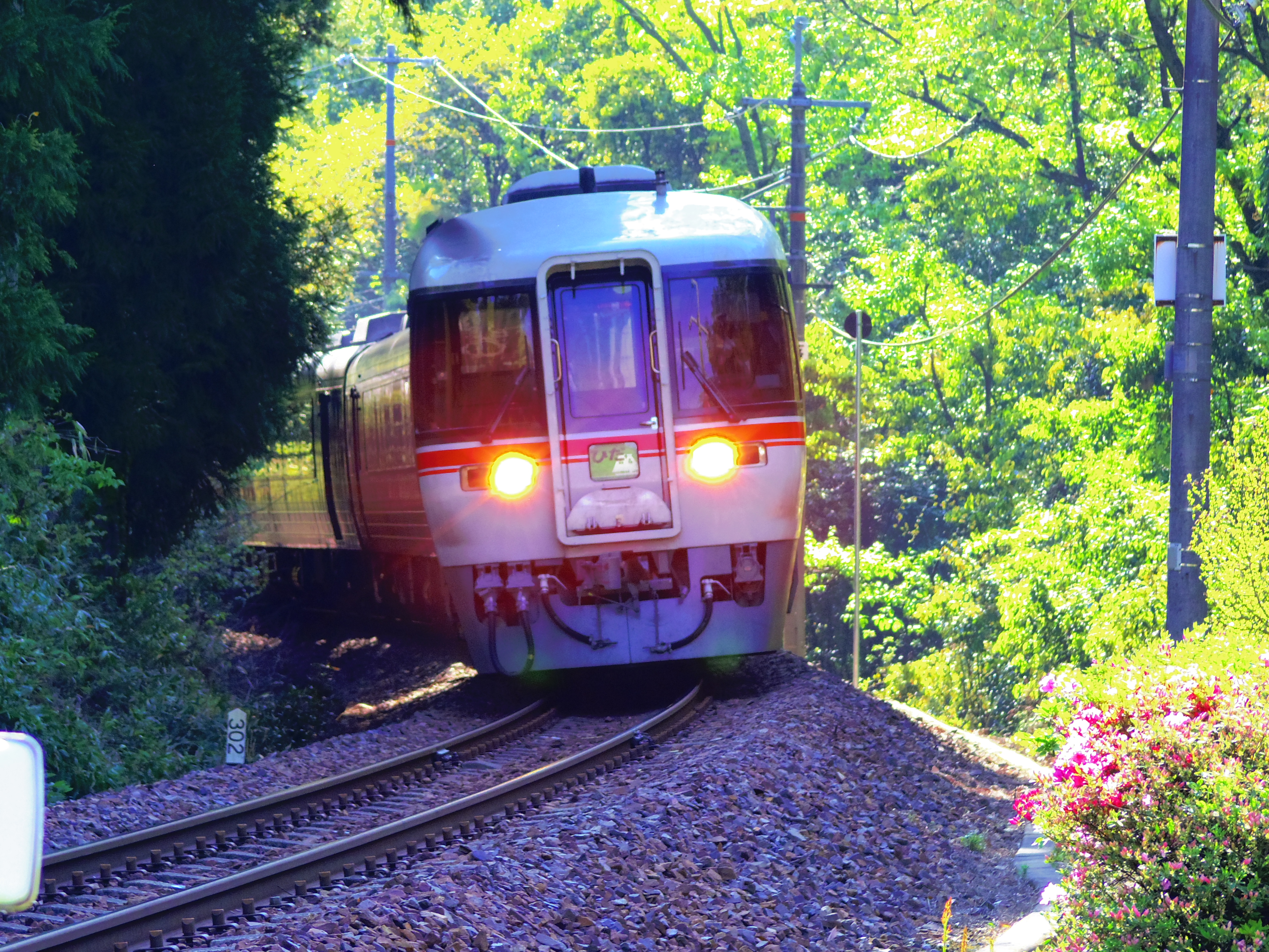 車掌長さんの作品