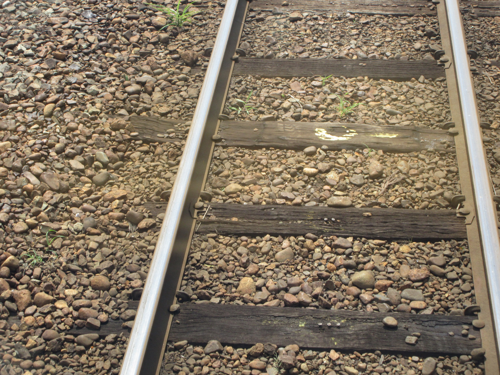 車掌長さんの作品