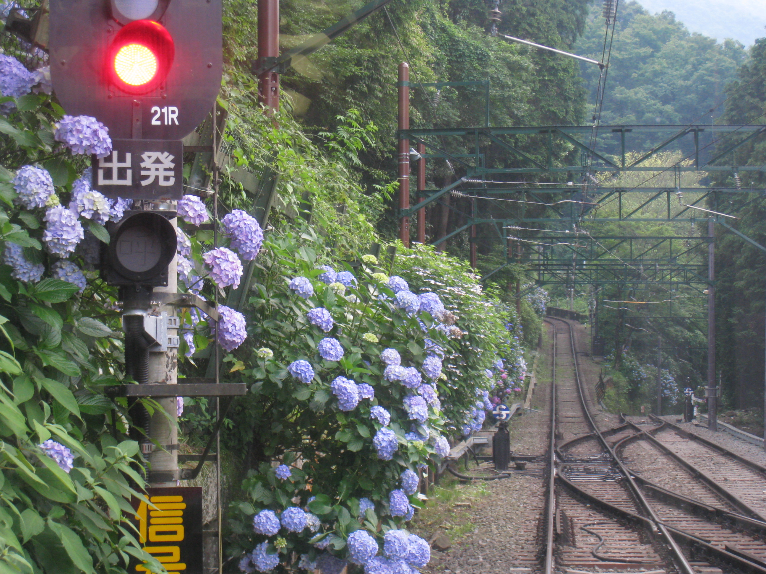 車掌長さんの作品