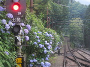 車掌長さん投稿の画像