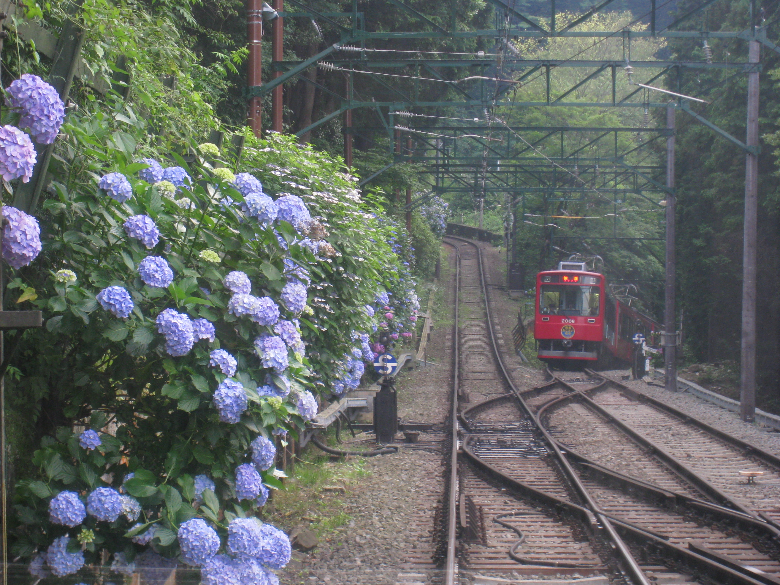 車掌長さんの作品