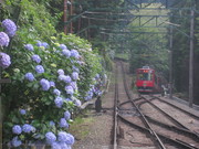 車掌長さん投稿の画像