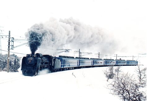 菅谷政一さんの作品